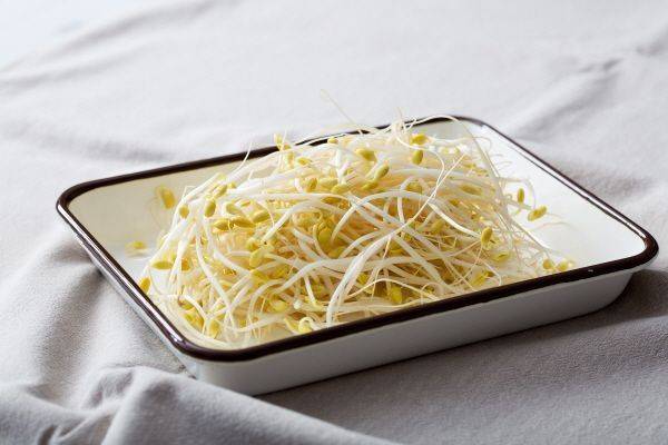 사진은 기사의 특정 내용과 관련 없음. 아시아경제 DB