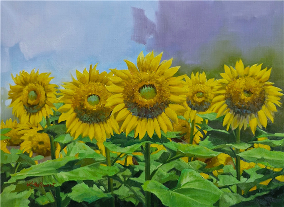 해바라기(Sunflower) 72.7×60.6 oil on canvas 2025