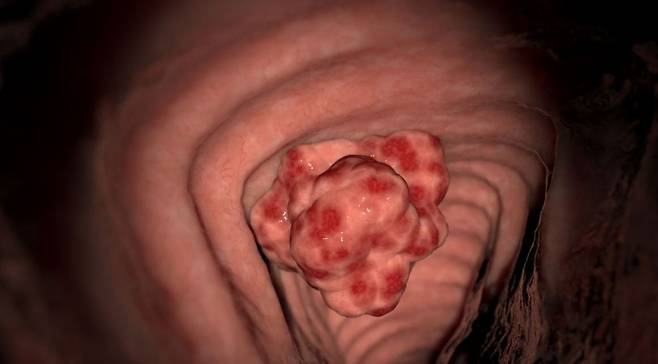 사진=클립아트코리아