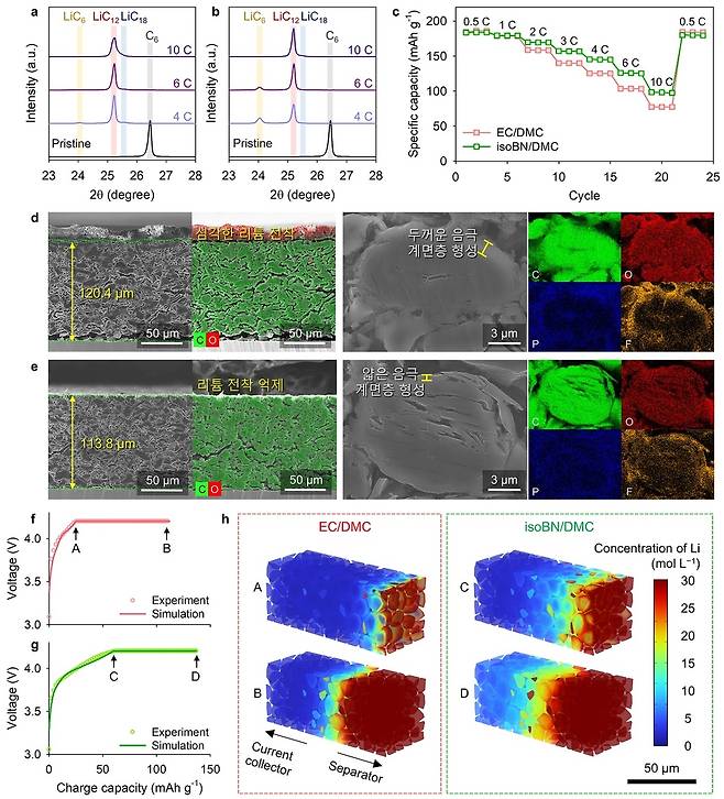 300차례 충·방전 후 성능 비교  [KAIST 제공. 재판매 및 DB 금지]