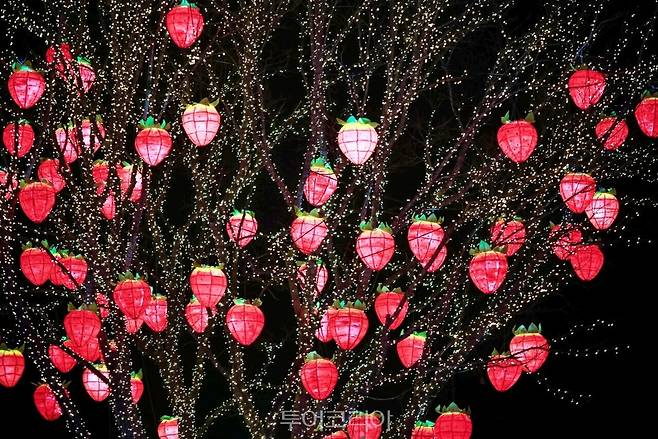 논산딸기축제/사진-논산시