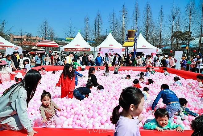논산딸기축제/사진-논산시