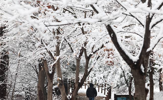 눈이 내린 3월 18일 경기도 수원시 한 공원에서 시민이 눈 쌓인 산책로를 걷고 있다. / 연합뉴스