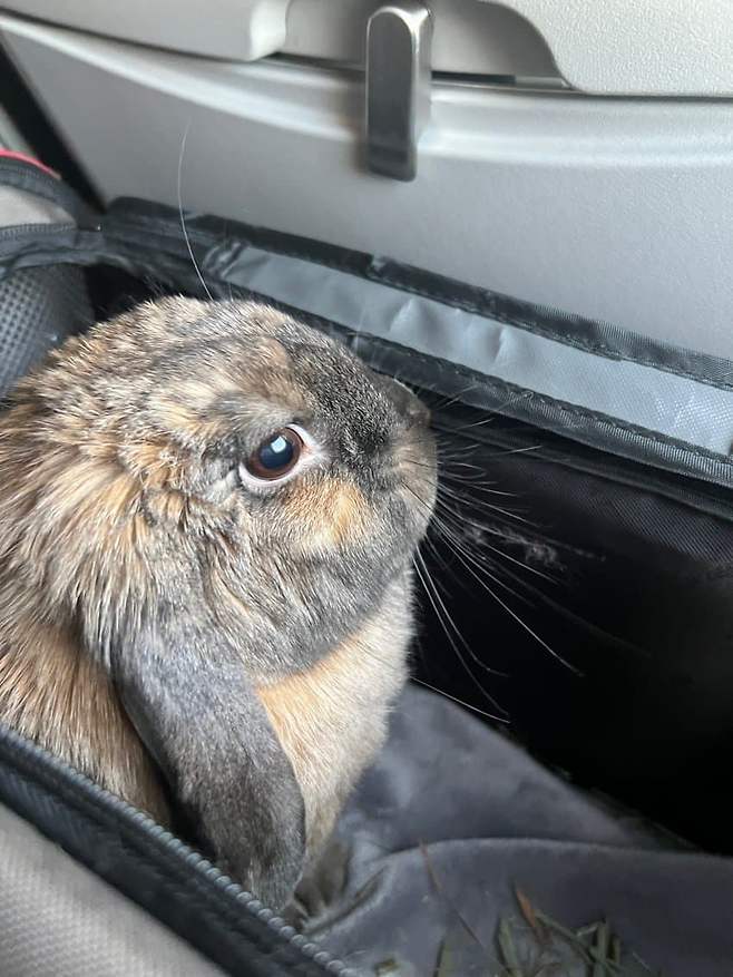 7a9bf103b1836f8223ee84e4359c7065881581c1be6abbabd7d787c3c083436d0a3ae5ebc2c15404e81f1f9e03420a54c8240a20