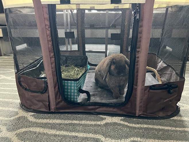 0eee8100b580688223eef5ec409c701f57912187783ca416018f1a871ca12e0f86e6c299d500adbf17559266b402001e12944e0d