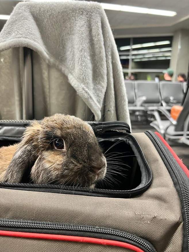 749ff172bcf76af223ebf591349c701cf612dd1432e03721426ec7927bff2091cd36fa4a828e601cec2010a2751bbe531d636511