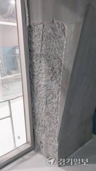 더챔버 파크로지아 균열 모습. 독자 제공