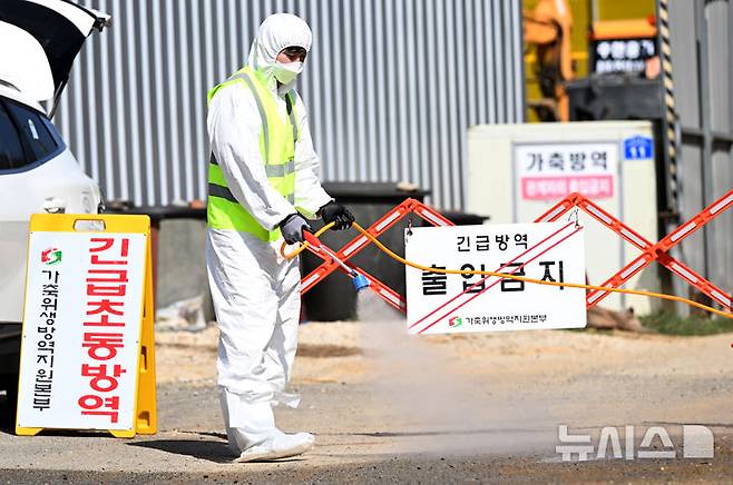[영암=뉴시스] 김혜인 기자 = 전남에서 첫 구제역이 발생한 14일 오전 영암군 도포면의 한 구제역 발생 소 농장에서 방역당국이 농장을 통제한 뒤 주변을 소독하고 있다. 2025.03.14. hyein0342@newsis.com