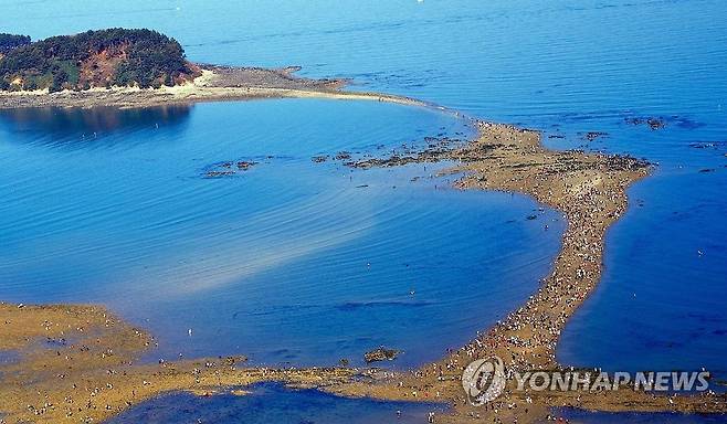 보령 무창포 '신비의 바닷길' [보령시 제공. 재판매 및 DB 금지]