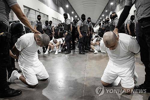 미국에서 추방된 후 엘살바도르 감옥에 입소하며 삭발당하는 입소자들 [AFP를 통해 배포된 엘살바도르 대통령실 제공 사진. DB 및 재판매 금지. 크레딧 표시 필수. MANDATORY CREDIT "AFP PHOTO / EL SALVADOR'S PRESIDENCY PRESS OFFICE" - NO MARKETING NO ADVERTISING CAMPAIGNS] 2025.3.17.