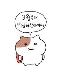 인스타그램 스타 쫀냐미. 사진=인스타그램 캡처