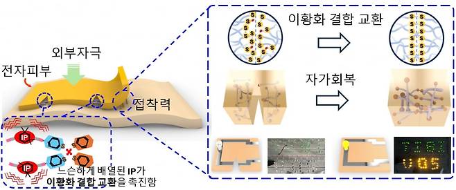 찢어져도 복구되는 전자피부 개발(KAIST 제공) / 연합뉴스