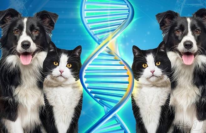 관련 시각물 - SCMP 갈무리