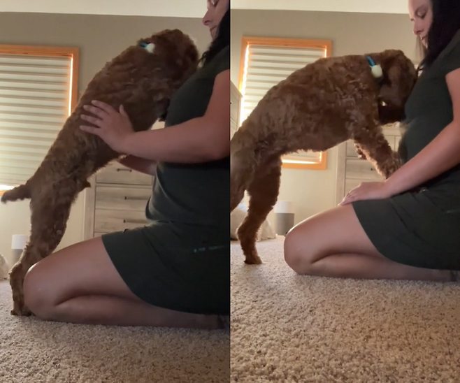 미국 미네소타주에 거주하는 여성이 반려견 덕에 유방암을 조기에 발견한 사연이 전해졌다. 사진=브리아나 보트너/데일리메일 캡처