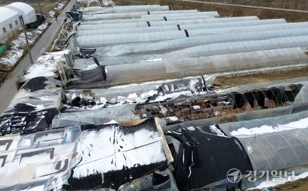 도내 눈 피해 현장 중 방치돼 있는 평택시 진위면 비닐하우스(왼쪽)와 안성시 보개면 한 공장 모습. 김시범기자