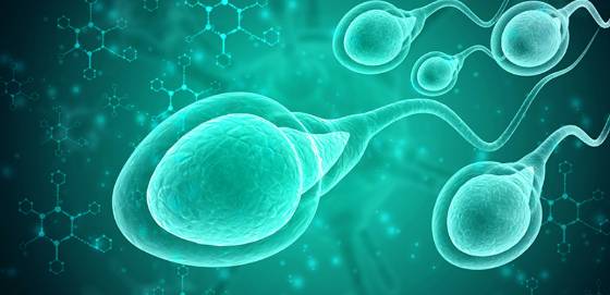 정상 모양 정자가 4%는 넘어야 한다고 했는데... /사진=서울의료원 가임센터 홈페이지