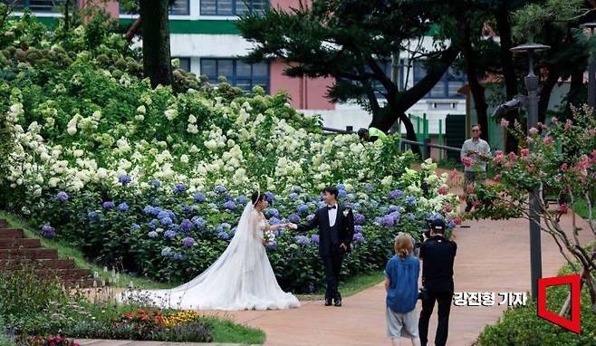 17일 서울 노원구 초안산수국동산에서 웨딩촬영 이벤트에 참여한 결혼을 앞둔 예비 신혼부부가 사진촬영 하고 있다. 지난 4월 말 개장한 초안산 수국동산은 한때 쓰레기 적치, 불법 경작 등으로 주민들이 이용하기 어려운 곳이었다. 주민들에게 휴식 공간을 제공하고, 지역 내 녹색복지 불균형을 해소하겠다는 목표로 1년 간의 공사 끝에 힐링 명소로 단장을 마쳤다. 사진=강진형 기자aymsdream@