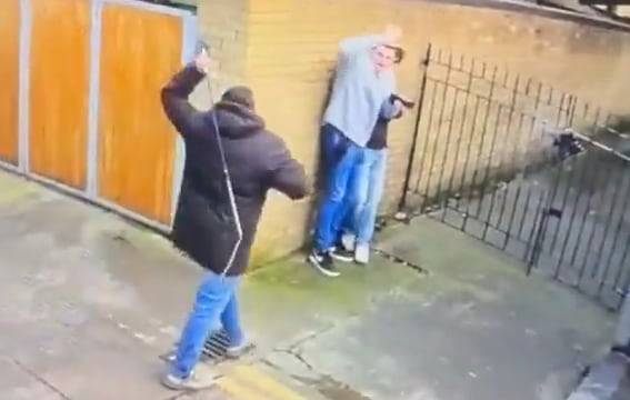 관광객 2명이 마차 운전사에게 채찍질을 당하는 모습. /X(옛 트위터)