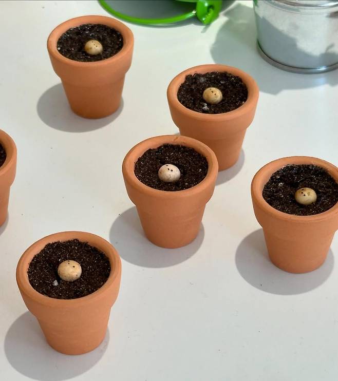 인스타그램 @life_gamja