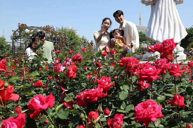 지난해 5월 서울 중랑구 장미공원을 찾은 시민들이 꽃 구경을 하며 즐거운 시간을 보내고 있다. /사진=이솔 기자
