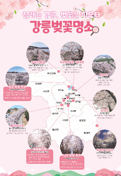 강릉시 제공