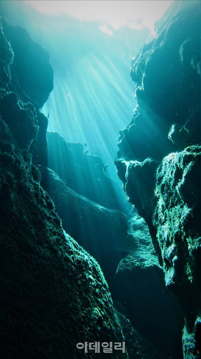신비로운 해저동굴 ‘그로토’는전세계 다이버들의 로망이자 사이판을 대표하는 다이빙 포인트다.(사진=그로토어드벤처)