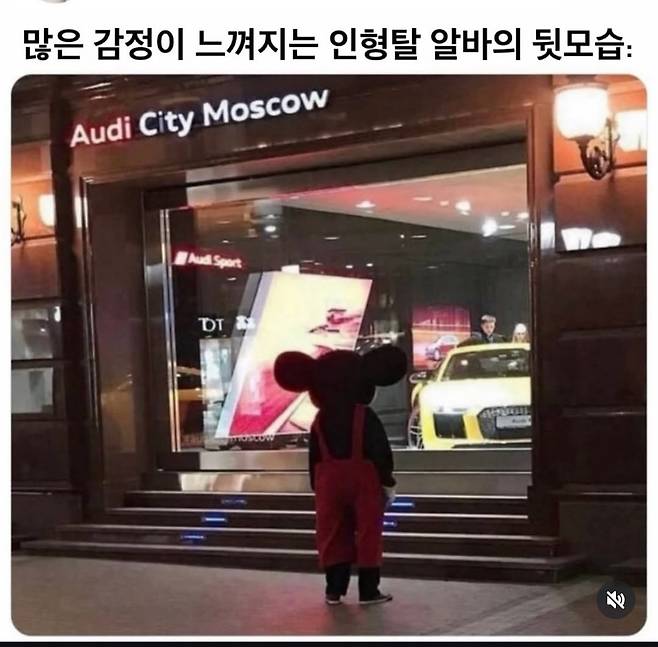 Screenshot_20250321_000841_Instagram.jpg 많은 감정이 느껴지는 인형탈 알바의 ..
