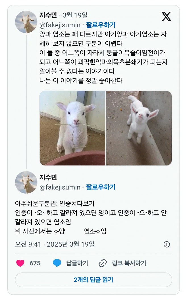 3.png 아기양과 아기염소 구별법