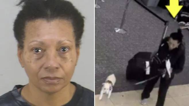 반려견 관련 서류를 준비하지 않아 비행기 탑승을 거부당한 앨리슨 아가사 로렌스가, 공항 화장실에서 반려견을 익사시킨 혐의로 체포됐다. /사진=메트로 홈페이지 갈무리