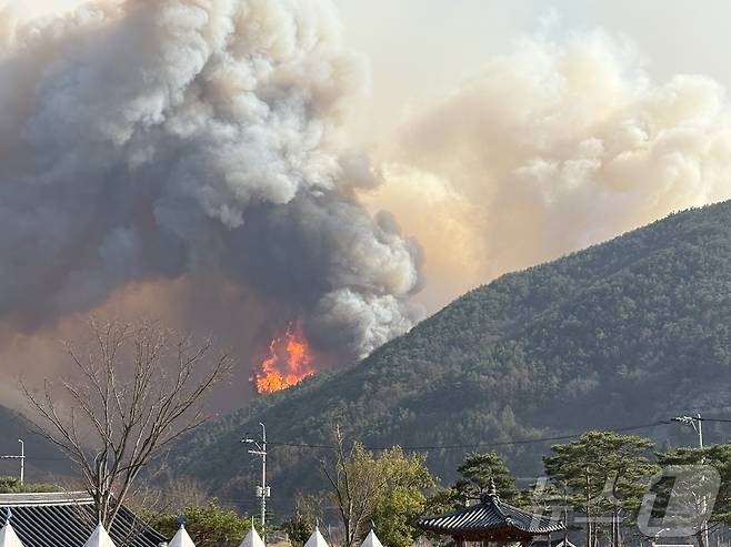 산청군 신천리 일원에서 발생한 산불이 22일 오후부터 확산하고 있다. 2025.03.22/뉴스1 강미영기자
