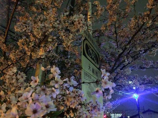 799cf17fc38a6182239d83e04f9c706c7950d628b931c07bc0694fb1d1dece84ebad4dd6accfd21b520cc9895a58f553070b33820f