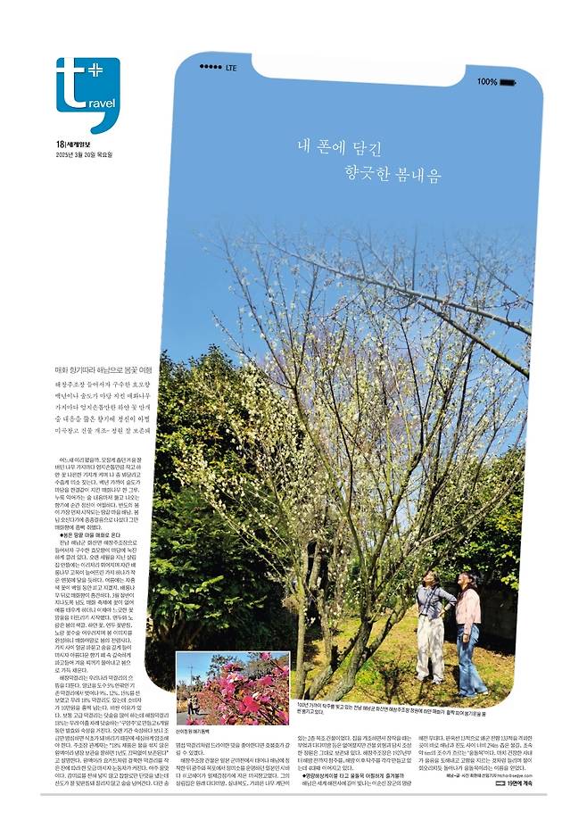 세계일보 여행면. 편집=김창환 기자