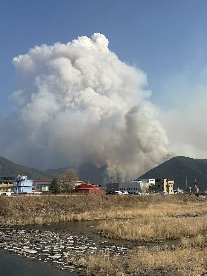 오후 4시 기준 산청 산불 현장 [촬영 김동민]