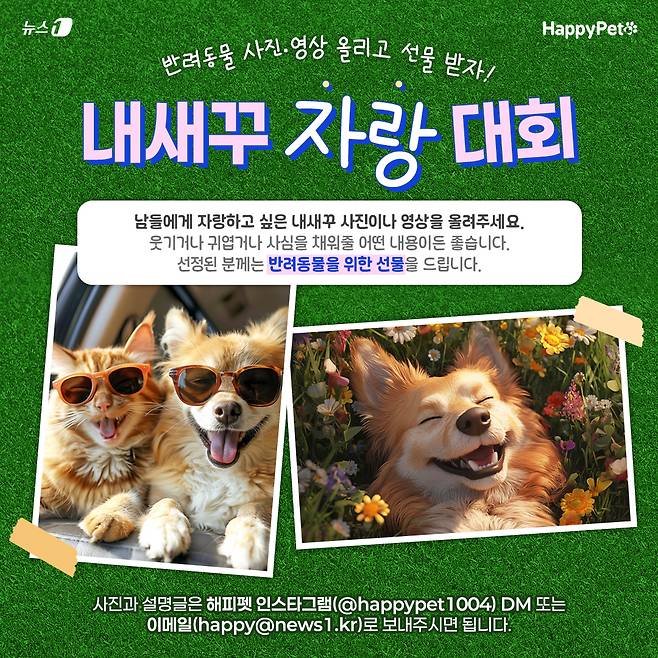 해피펫 내새꾸 자랑대회에 참여하시면 반려동물을 위한 선물을 드립니다. ⓒ 뉴스1 이지윤 디자이너
