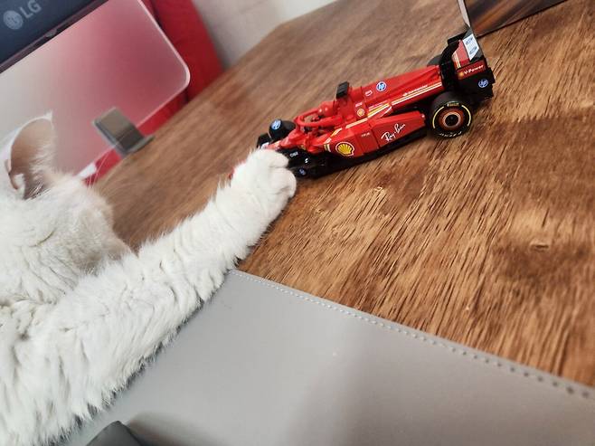 20250323_004531.jpg 하얀색과 빨간색의 만남