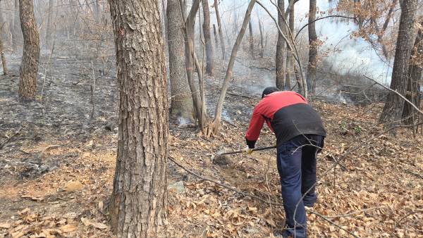 23일 현재 한림면 야산에 발생한 산불을 차단하기위해 동원된 대원이 갈퀴로 낙엽을 치우며 방화선을 만들고 있다. 김해시 제공