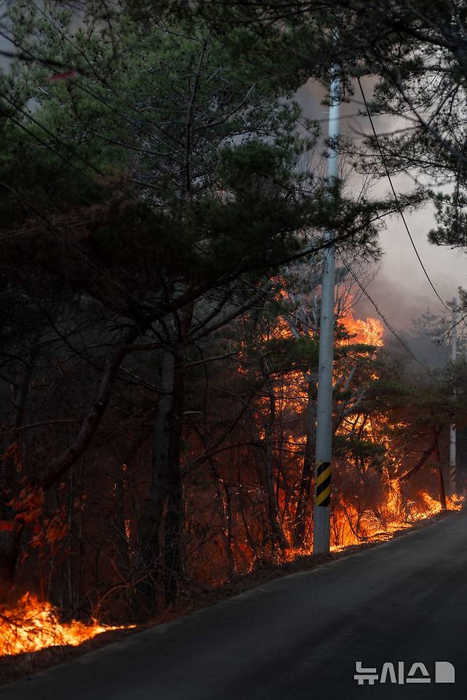 [의성=뉴시스] 김정화 기자 = 2025.03.23. jungk@newsis.com