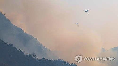 경남 산청군 시천면 산불 진화작업 [연합뉴스 자료사진]