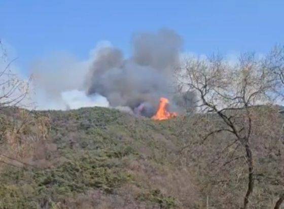 의성 산불 초기 모습.ⓒ연합뉴스