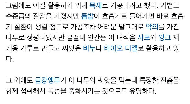 IMG_1197.jpeg 존재 자체가 “악의” 그 자체라는 나무 레전드 ㅎㄷㄷㄷㄷ