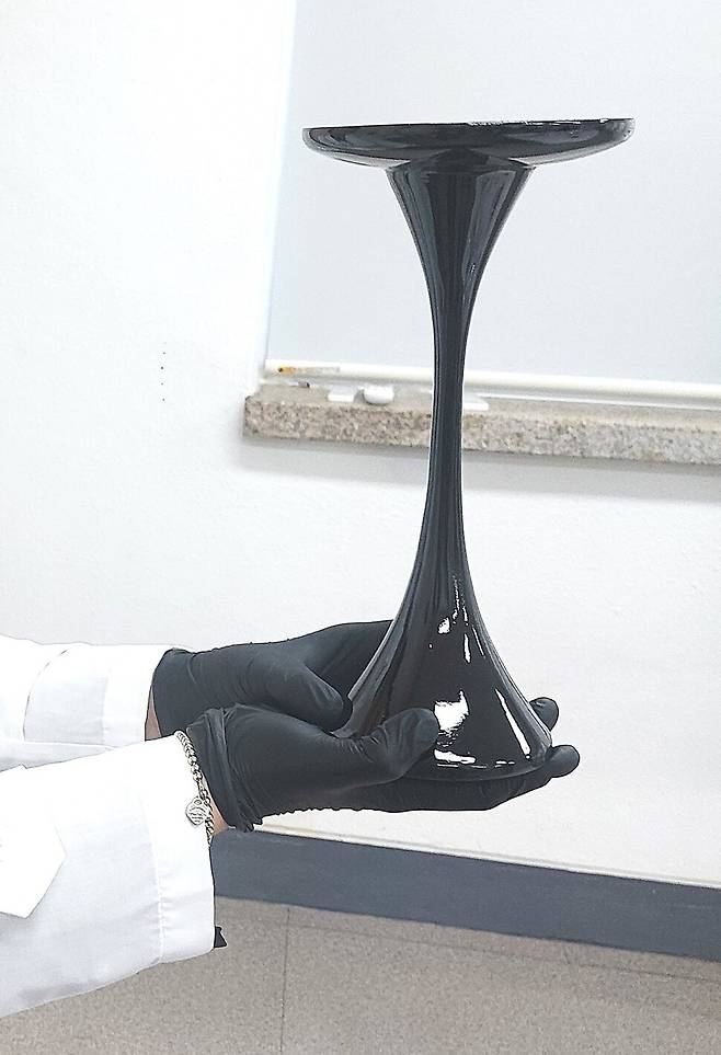 복원된 목 긴 굽다리 옻칠 나무접시의 모습도 24일 유물과 함께 공개됐다. 노형석 기자