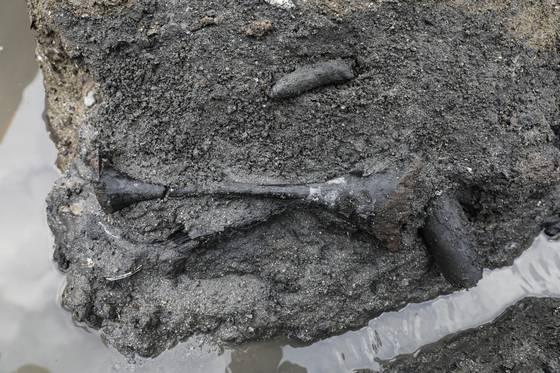 김해 봉황동 유적 출토 옻칠 두형 그릇(?豆) 출토 사진. 사진 국립가야문화유산연구소