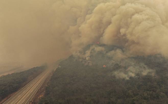 경북 의성군 대형 산불 발생 사흘째인 24일 의성군 점곡면을 지나는 서산영덕고속도로가 산불로 인해 통제되고 있다. 2025.3.24 [사진 = 연합뉴스]
