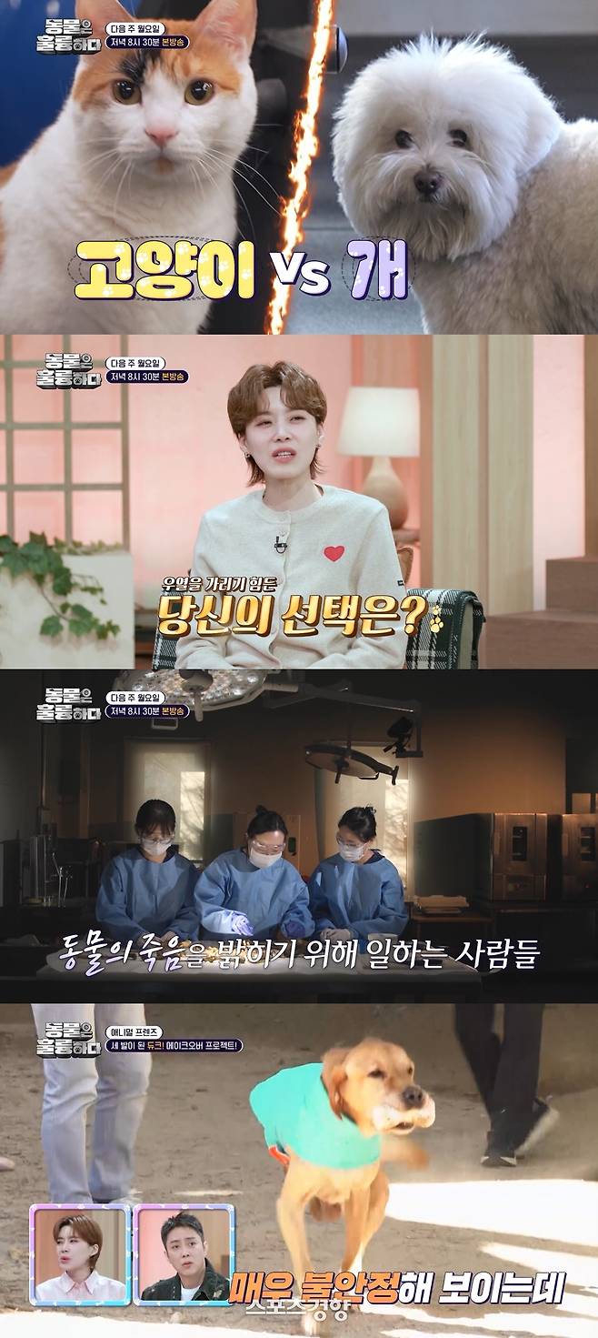 ‘동물은 훌륭하다’ 방송화면. KBS 제공