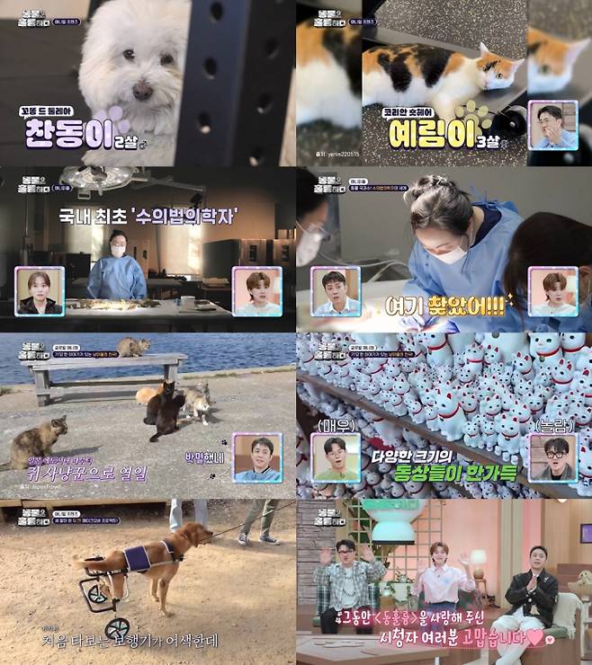 예능 ‘동물은 훌륭하다’ (제공: KBS2)