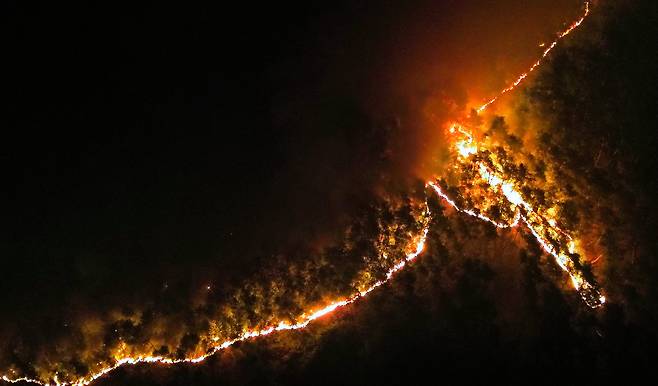 의성 산불 사흘째인 24일 오후 경상 의성군 옥산면 신계리 야산에 산불이 확산하고 있다./뉴스1
