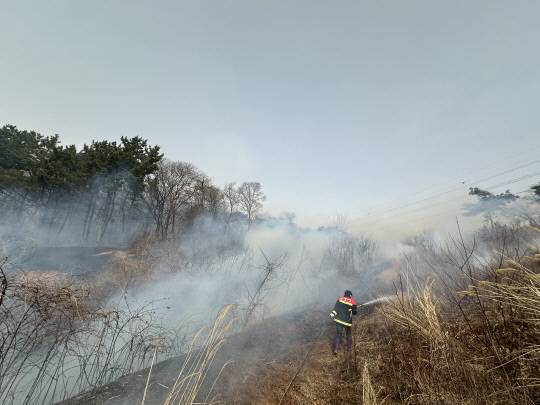 25일 오후 2시 50분경 충남 당진시에서 산불이 발생했다. 사진=당진시 제공.