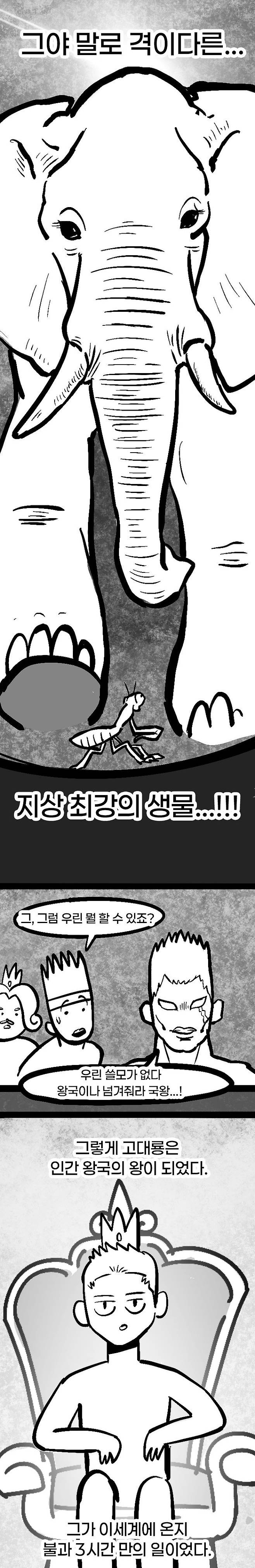 IMG_5761.jpeg 존나짱쎈고대의에이션트드래곤.manhwa