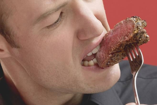 봄에 활동을 시작하는 ‘론스타 진드기’에 물리면 붉은 고기를 먹은 뒤 '알파갈 증후군'에 걸릴 수 있어 주의가 필요하다/사진=게티이미지뱅크