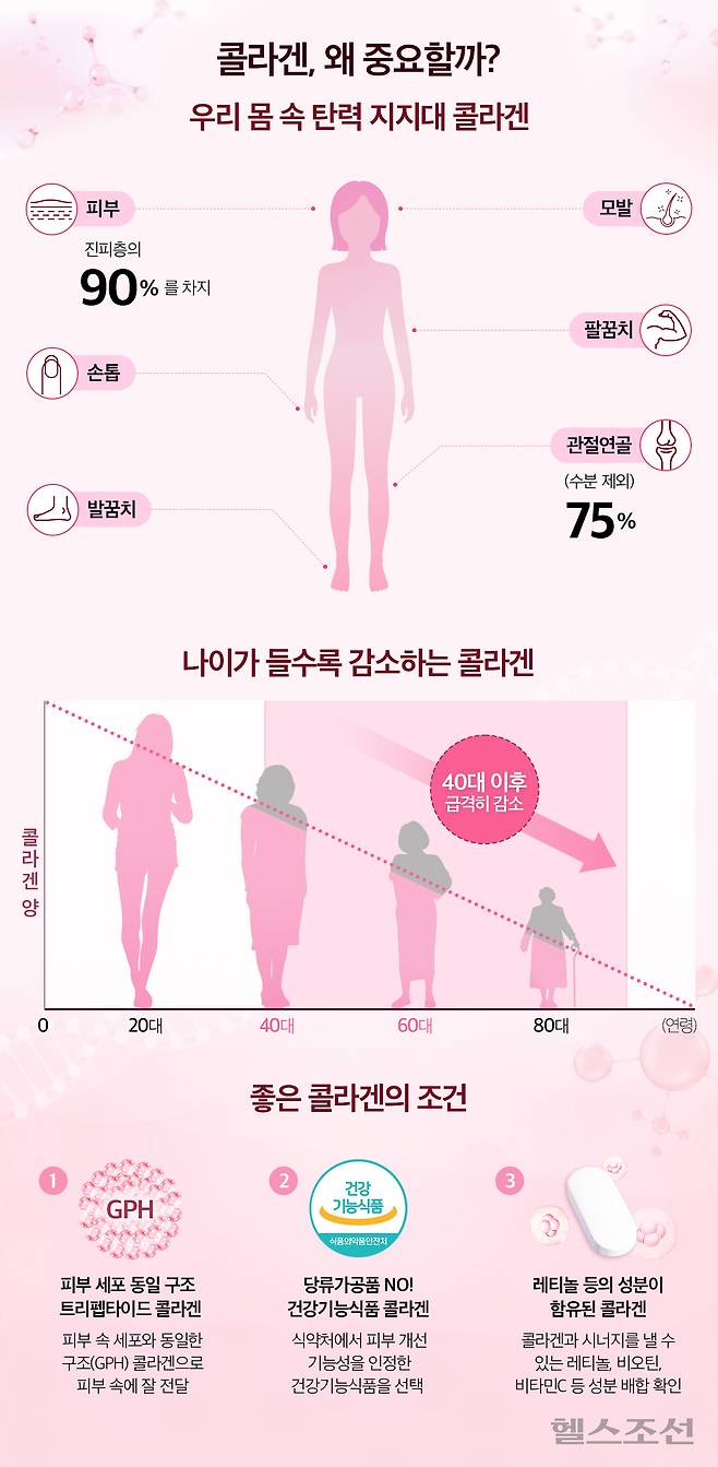 피부와 전신 탄력의 지지대인 콜라겐은 해마다 감소하기 때문에 섭취해 채워주는 게 좋다. 효과를 보기 위해선 콜라겐 제품을 꼼꼼히 따져 골라야 한다./그래픽=김민선